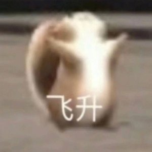 ヾ(◍ °千∇ 千 ◍)ﾉﾞ