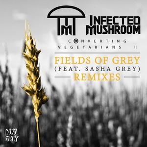 Fields of Grey (Au5 Remix)