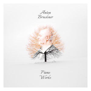 Piano Sonata in G Minor, WAB 243