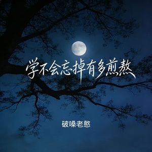 学不会忘掉有多煎熬