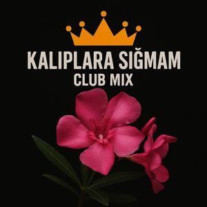 Kalıplara sığmam (Club mix)
