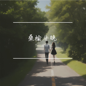 孤鹜