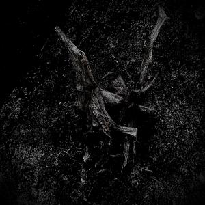 wound
