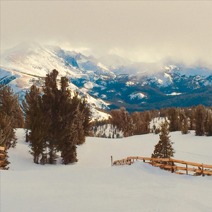 I'm Still Talking to You