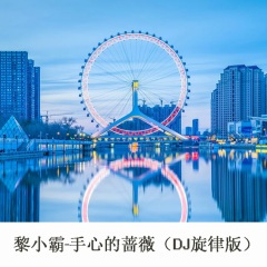 摇头旋律 (DJ版)