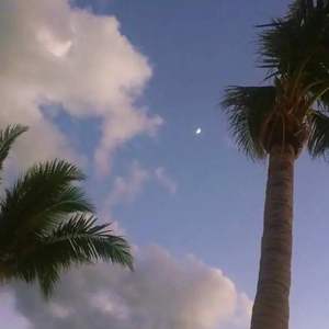 我走后
