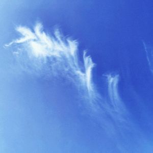 Where Will We Go（Acoustic）