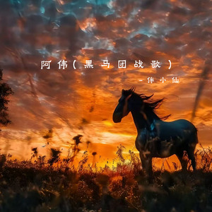 阿伟 (黑马团战歌空拍)