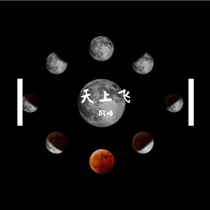 天上飞