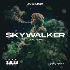 Skywalker (feat. Tez.CC & Daz DaVinci)