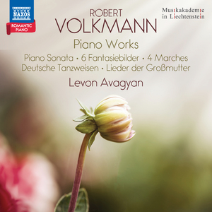 6 Phantasiebilder, Op. 1: No. 6 Elegie