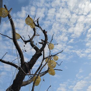 下次见是动词不是告别