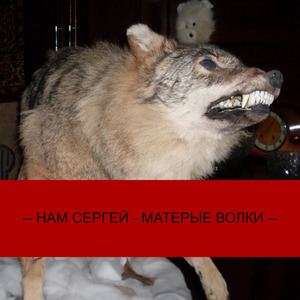 Матёрые Волки