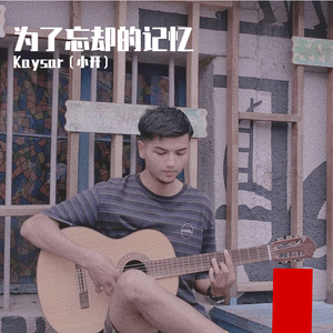 为了忘却的记忆