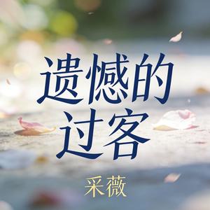遗憾的过客(伴奏)
