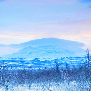 Favourite Intermediate Clear