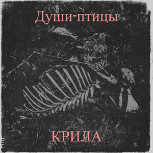 Души-птицы