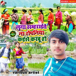 Laika Hokhata dhaka dhak