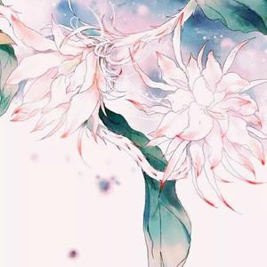 超越时空的思念（二胡版）