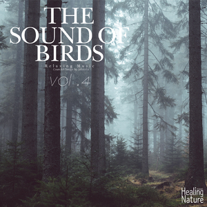 수면장애를 치유하는 자연의 소리