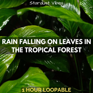 Rain Falling on Leaves in the Tropical Forest: One Hour (Loopable)