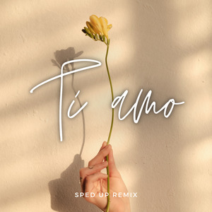 Sarà Perché Ti Amo (Sped Up) (Remix)