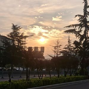 还没有名字的歌-My boo（Prod.by NOBADINO）