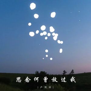 思念何曾放过我