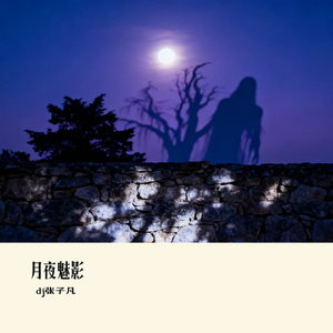 月夜魅影