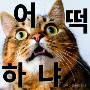 이번 여행 어떡하냐옹