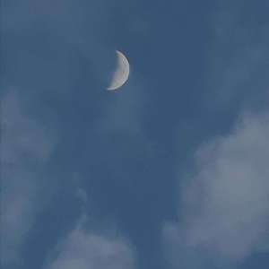 爱你（cover王心凌）