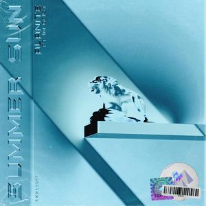 Summer Sun (feat. I'm Geist)