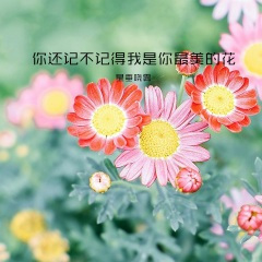 如果爱还在你心中没有离开