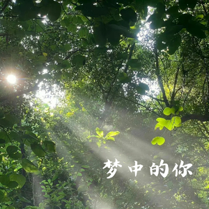 已经来不及再爱你