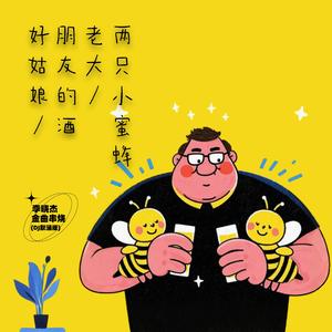 好姑娘+朋友的酒+老大+两只小蜜蜂 (DJ默涵版)