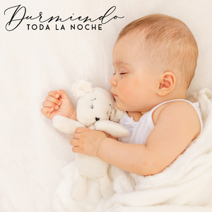 Naturaleza Tranquila