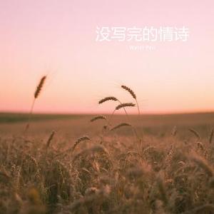 没写完的诗