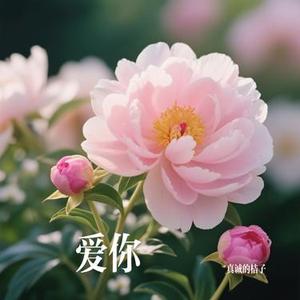 爱你