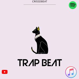 Trap Cat Beat