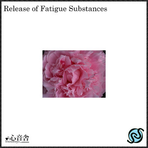 レム睡眠の深い泉