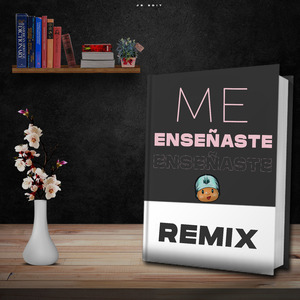 Me Enseñaste (Remix)