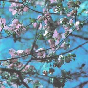 Blessed Salt Lake (Alternate Version)