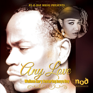 Any Love (feat. Inaya Day) [Native Sons Instrumental]