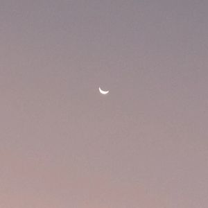 泪（prod by Prod.VibeBoi）