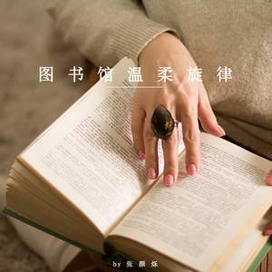 月落星海 (八音盒)