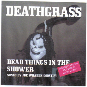 Armadillo on the Interstate