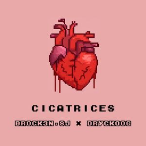 Cicatrices