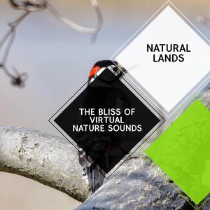 Prolific Spring Bees