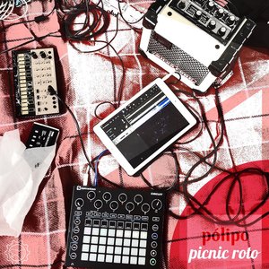 Picnic roto #2
