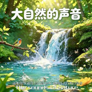 雷雨声